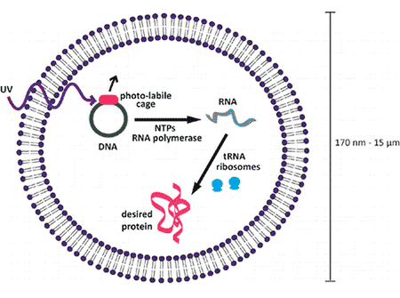 Kastrup Publication Illustration