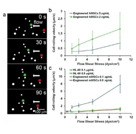 Kastrup Publication Illustration