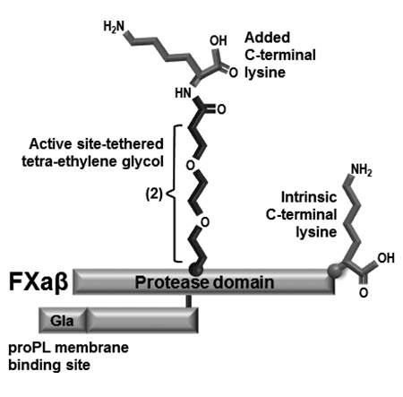 Kastrup Publication Illustration