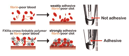 Kastrup Publication Illustration