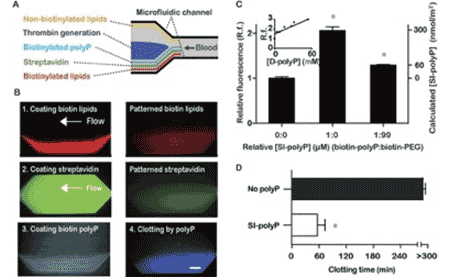 Kastrup Publication Illustration
