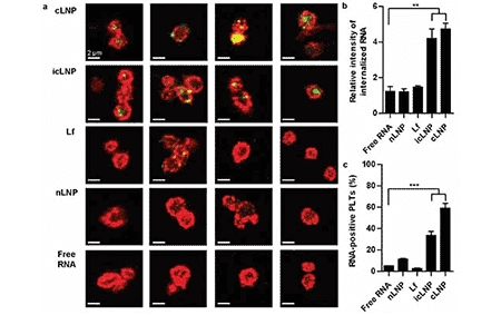 Kastrup Publication Illustration