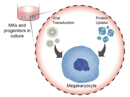 Kastrup Lab Publication Illustration